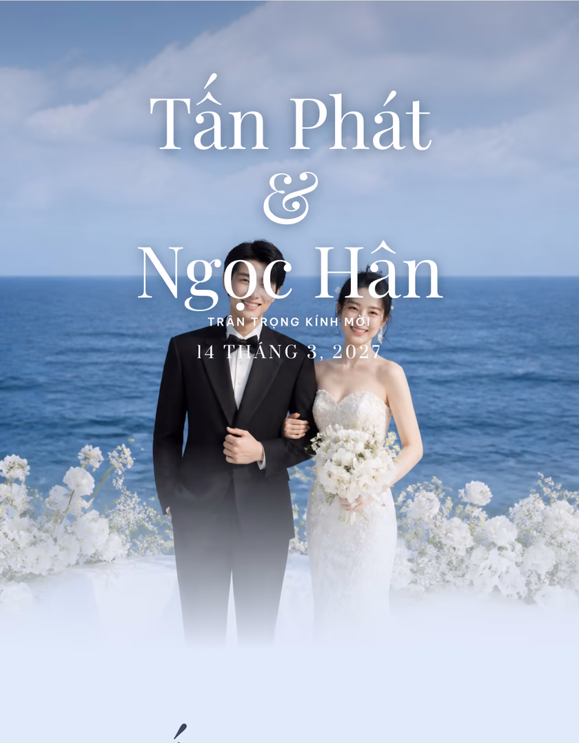 Preview of the Hải Lam template